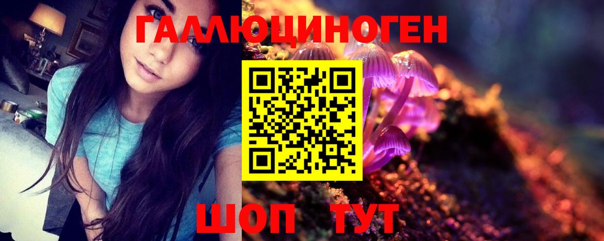 Галлюциногенные грибы Cubensis  Псилоцибиновые грибы Magic Shrooms  Северск  Вход с VPN 