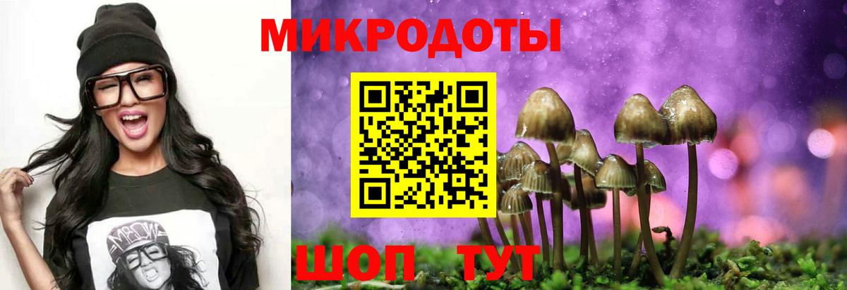 Псилоцибиновые грибы мухоморы Северск